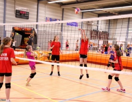 Foto bij Join volleybaltour in Rijssen