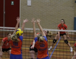 Foto bij Holyoke D1 - D3, 28-11-2012