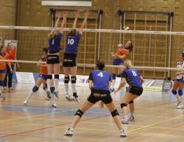 Foto bij D1 - VC Zwolle D1, deel 2