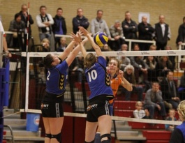 Foto bij D1 - VC Zwolle D1, deel 2